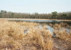 20040317 hoogeveen0001